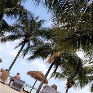 Meet your Posher, Mia